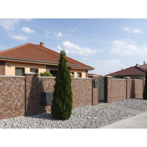 STEGU Country 668 (pakis: 1 m²) - Image 4